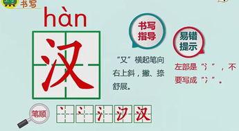 识字全套视频教程成人,全套视频教程概述