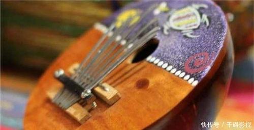 成人自学最简单乐器视频,轻松学会成人自学最简单乐器的视频教程