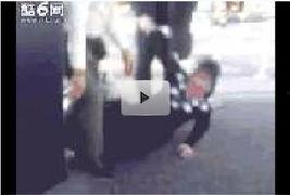 成人夜间打滚视频大全,揭秘成人夜间打滚奇观