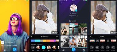 快豹短视频成人app,成人领域的创新探索与应用