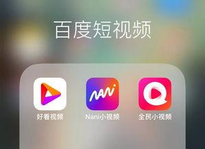 快豹短视频成人app,成人领域的创新探索与应用