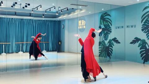 红色舞蹈成人舞视频教学,重温革命岁月，舞动激情人生