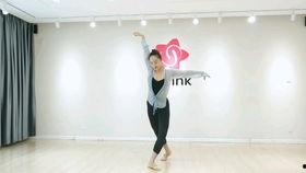 成人歌舞蹈教学视频,轻松学会成人歌舞新技巧