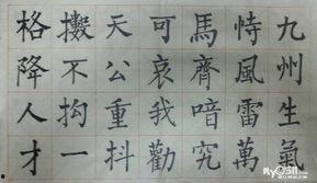 成人连笔字书法视频