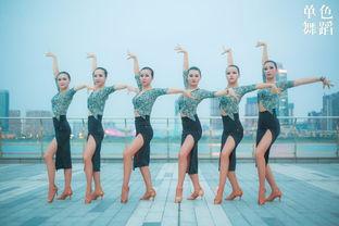 拉丁舞成人考级视频,舞动人生，逐级升华