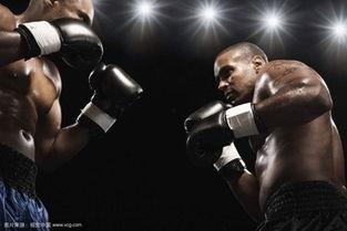 成人拳击音乐大全视频播放,热血沸腾！成人拳击音乐大全视频燃情回顾