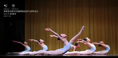 成人自学台步舞蹈视频大全