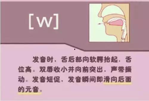 成人怎么练音标视频讲解,成人高效发音技巧解析