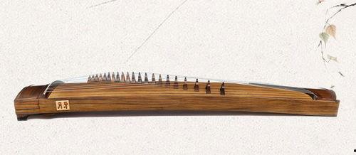 小白成人可学古筝吗视频