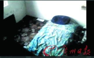 成人视频黄色,黄色内容的背后真相与影响